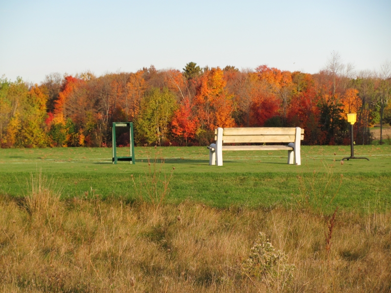fall.jpeg